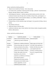 Filosofijos savarankiškas darbas 5 puslapis