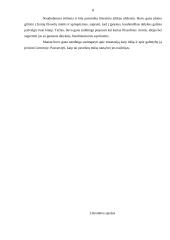 Filosofijos savarankiškas darbas 8 puslapis