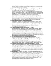 Filosofijos pusegzaminio klausimai ir atsakymai 14 puslapis