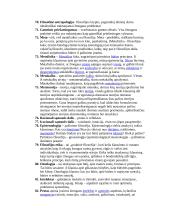 Filosofijos pusegzaminio klausimai ir atsakymai 15 puslapis