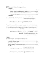 Finansai - savarankiškas darbas 3 puslapis