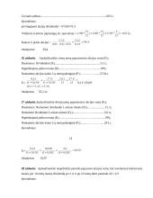 Finansai - akcijų vertė, turto grąža 13 puslapis