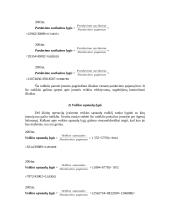 Trumpalaikio ir ilgalaikio mokumo rodikliai 11 puslapis