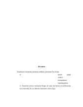 Trumpalaikio ir ilgalaikio mokumo rodikliai 16 puslapis