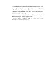 Trumpalaikio ir ilgalaikio mokumo rodikliai 17 puslapis