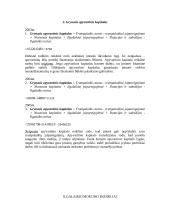 Trumpalaikio ir ilgalaikio mokumo rodikliai 4 puslapis