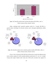 Finansinė analizė: statybos paslaugos AB "Panevėžio statybos trestas" 15 puslapis