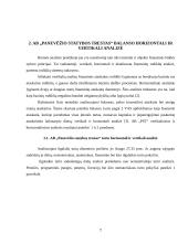 Finansinė analizė: statybos paslaugos AB "Panevėžio statybos trestas" 7 puslapis