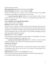 Finansinių rodiklių analizė: AB "Stumbras" 4 puslapis