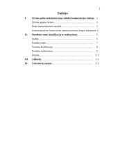 Firmos pelno maksimizavimas. Poreikiai 2 puslapis