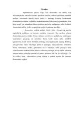 Firmos pelno maksimizavimas. Poreikiai 11 puslapis