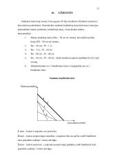 Firmos pelno maksimizavimas. Poreikiai 12 puslapis