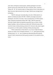 Firmos pelno maksimizavimas. Poreikiai 5 puslapis