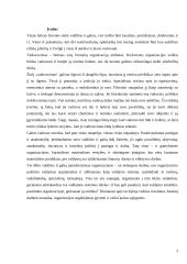 Galia ir valdžios paskirstymas 3 puslapis