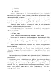 Galia ir valdžios paskirstymas 5 puslapis