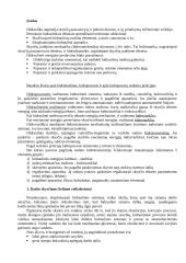 Hidraulika. Hidrauliniai siurbliai