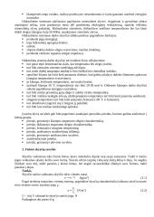 Hidraulika. Hidrauliniai siurbliai 2 puslapis