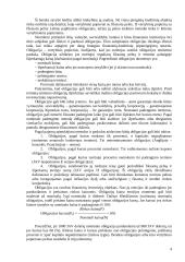 Ilgalaikio finansinio turto įkainojimo modelis 4 puslapis