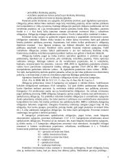 Ilgalaikio finansinio turto įkainojimo modelis 5 puslapis