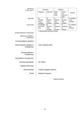 Įmonės charakteristika ir veiklos dokumentai: baldų prekybos UAB "Audėjas" 11 puslapis