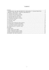 Įmonės charakteristika ir veiklos dokumentai: UAB "Draudikas" 2 puslapis