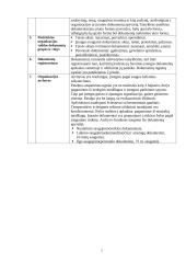 Įmonės charakteristika ir veiklos dokumentai: UAB "Draudikas" 5 puslapis