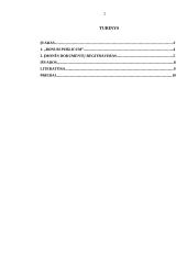 Įmonės dokumentų registravimas: "Bonum publicum" 2 puslapis