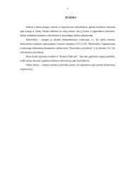 Įmonės dokumentų registravimas: "Bonum publicum" 3 puslapis