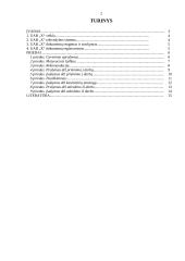 Įmonės dokumentų valdymas: statybos įmonė 2 puslapis