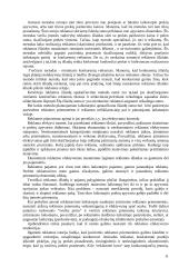 Įmonės konkurencingumo didinimas 12 puslapis