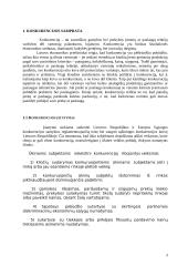 Įmonės konkurencingumo didinimas 4 puslapis