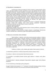 Įmonės konkurencingumo didinimas 5 puslapis