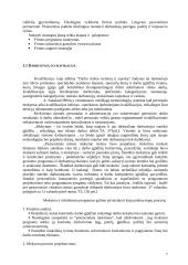 Įmonės konkurencingumo didinimas 8 puslapis