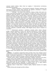 Įmonės konkurencingumo didinimas 10 puslapis