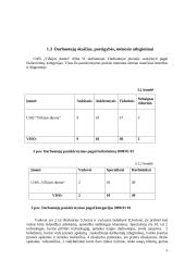 Įmonės mokesčių analizė: UAB "Vilkijos duona" 4 puslapis