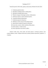 Įmonės planavimo darbai 2 puslapis