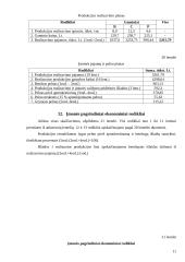 Įmonės planavimo darbai 11 puslapis