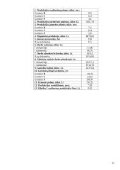 Įmonės planavimo darbai 13 puslapis