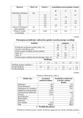 Įmonės planavimo darbai 3 puslapis