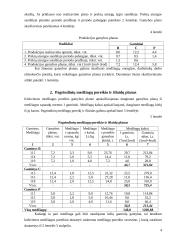 Įmonės planavimo darbai 4 puslapis