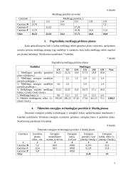 Įmonės planavimo darbai 5 puslapis