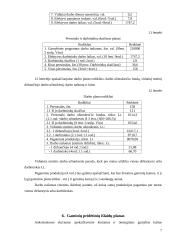 Įmonės planavimo darbai 7 puslapis