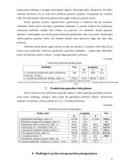 Įmonės planavimo darbai 8 puslapis