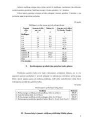 Įmonės planavimo darbai 9 puslapis