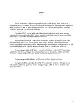 Įmonės probleminės situacijos įvertinimas: UAB "Seifuva" 3 puslapis