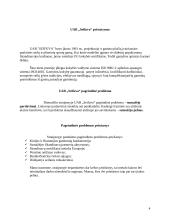 Įmonės probleminės situacijos įvertinimas: UAB "Seifuva" 4 puslapis