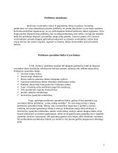 Įmonės probleminės situacijos įvertinimas: UAB "Seifuva" 5 puslapis