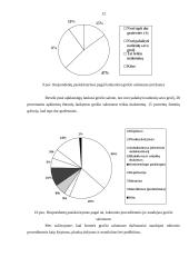 Įmonės rinkodara: grožio salonas "Alioksa" 13 puslapis