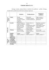 Įmonės rinkodara: grožio salonas "Alioksa" 19 puslapis