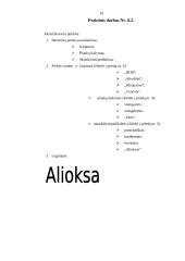 Įmonės rinkodara: grožio salonas "Alioksa" 20 puslapis